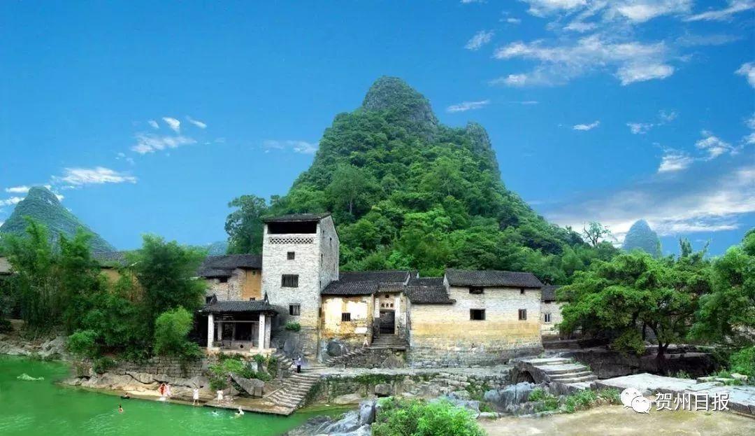 新洲区凤凰镇科技风潮涌动，未来生活新篇章正式开启