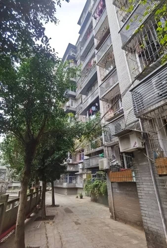 小巷深处的隐藏宝藏（或重庆隐藏房源）