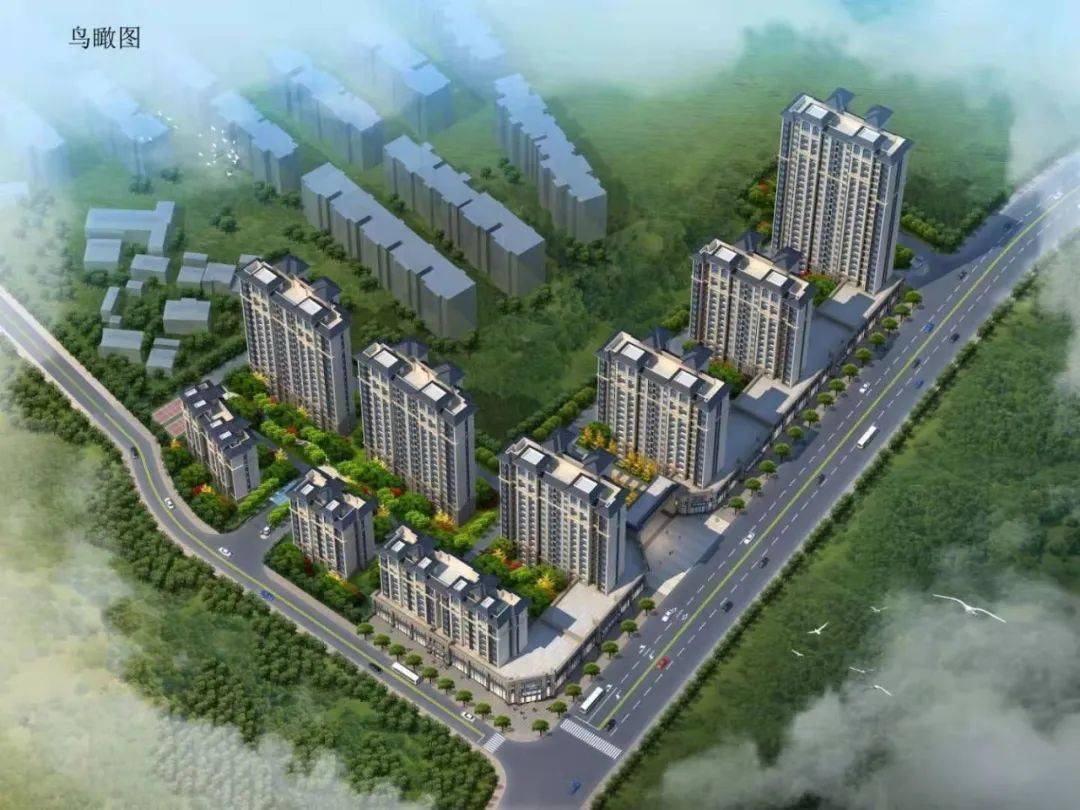 最新动态与进展/政策解读/未来规划