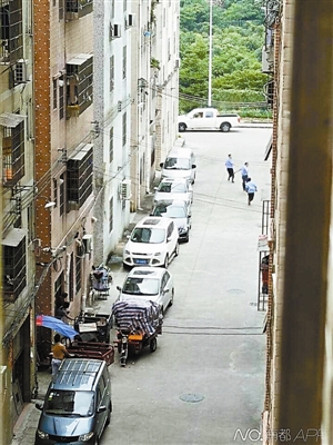 上海砍人事件最新进展及巷弄深处的独特风味小店探索