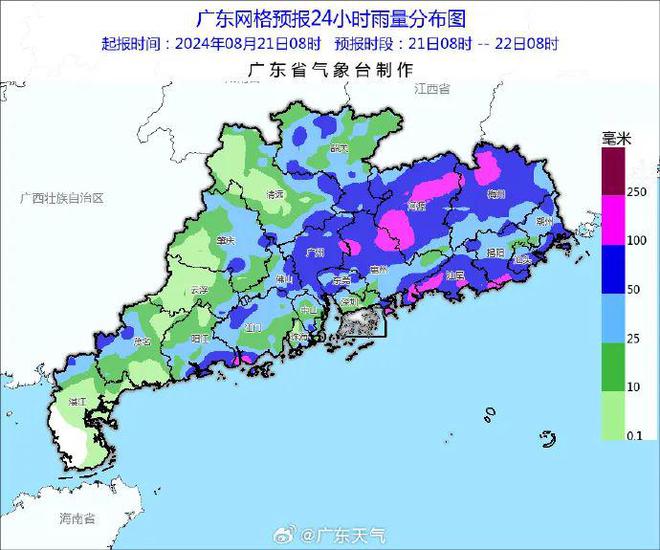 广东最新动态，多元活力视角观察报道