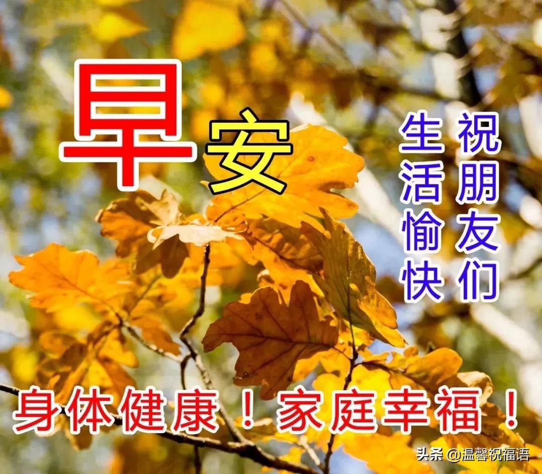 友情与爱的力量