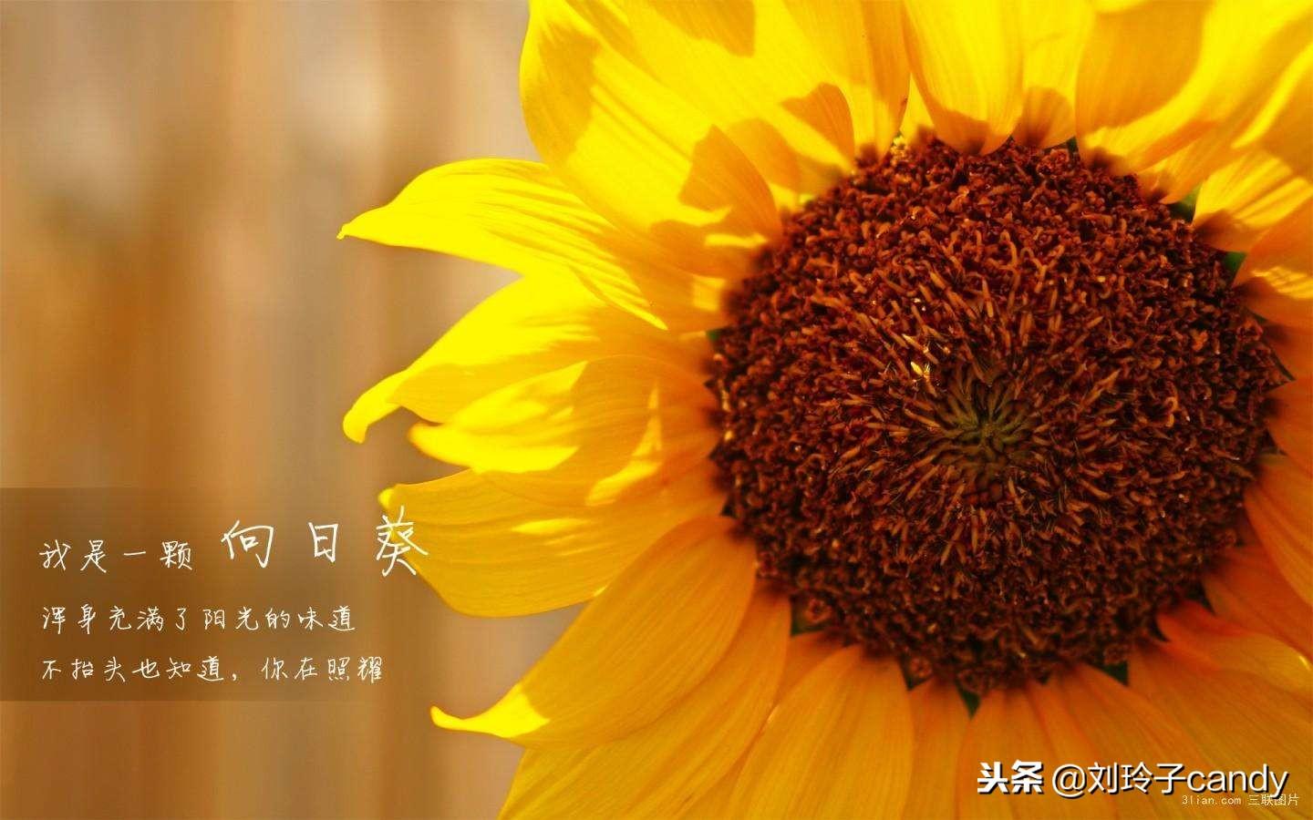 城市温暖邂逅
