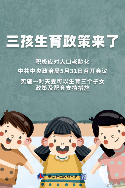 理解适应与应对策略