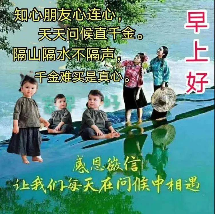 最新顿的温馨日常，阳光故事中的友情、陪伴与爱