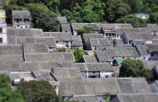 最新苹果价格，时代印记与市场的波动