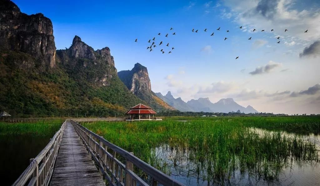 宅宅最新，自然美景之旅，探寻内心平和之地