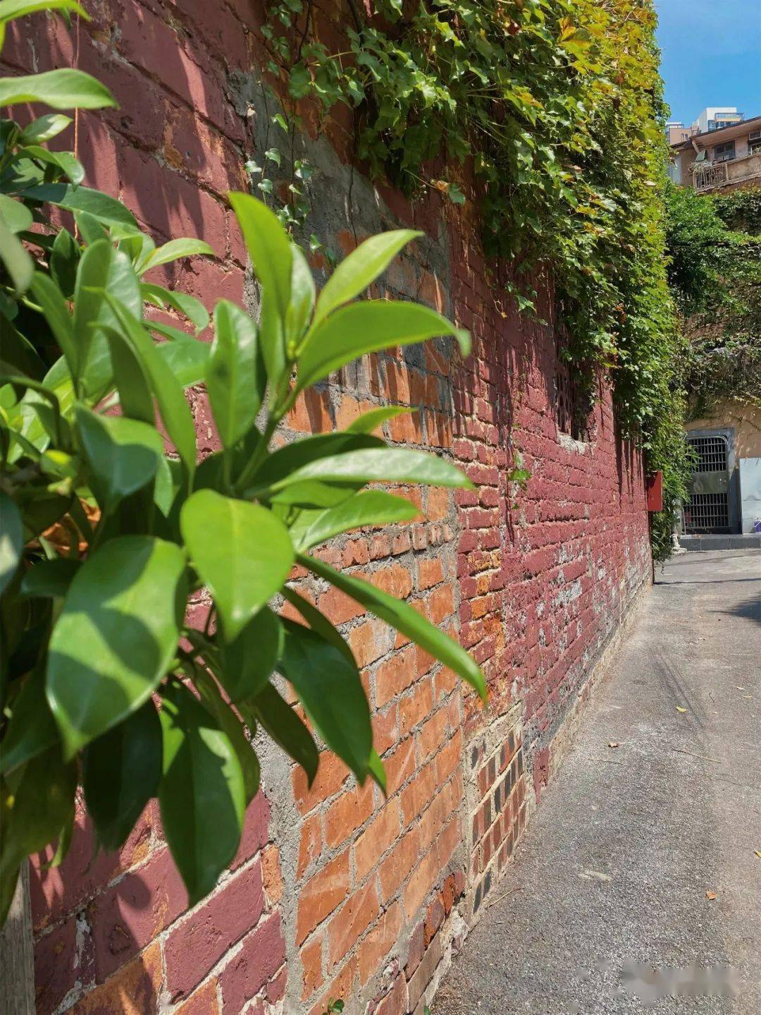 植物宝藏探秘