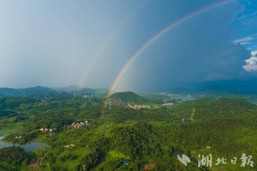 雅安最新动态，雨后彩虹与温馨生活的重启
