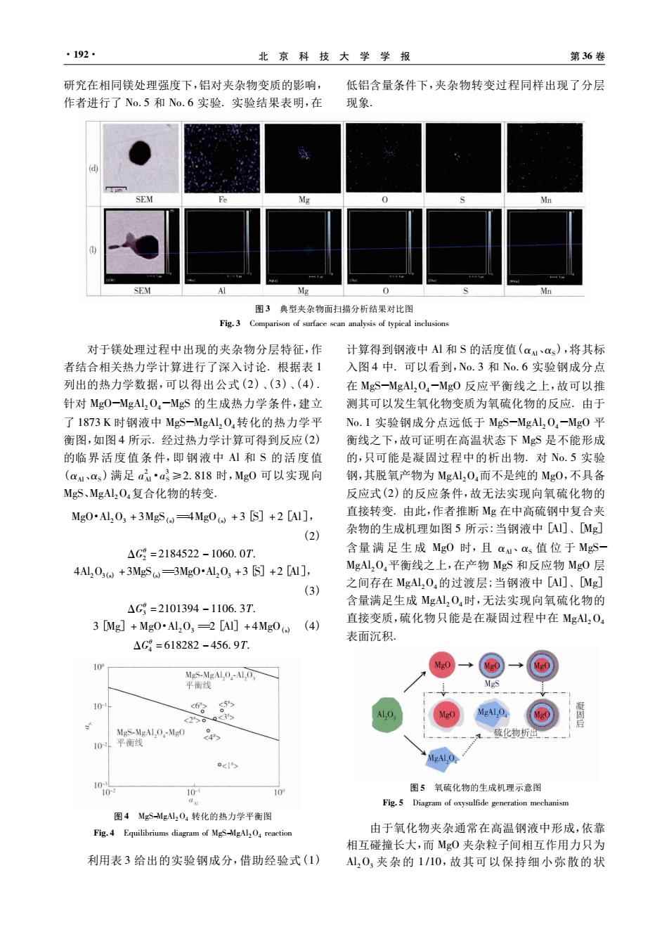 镁最新研究