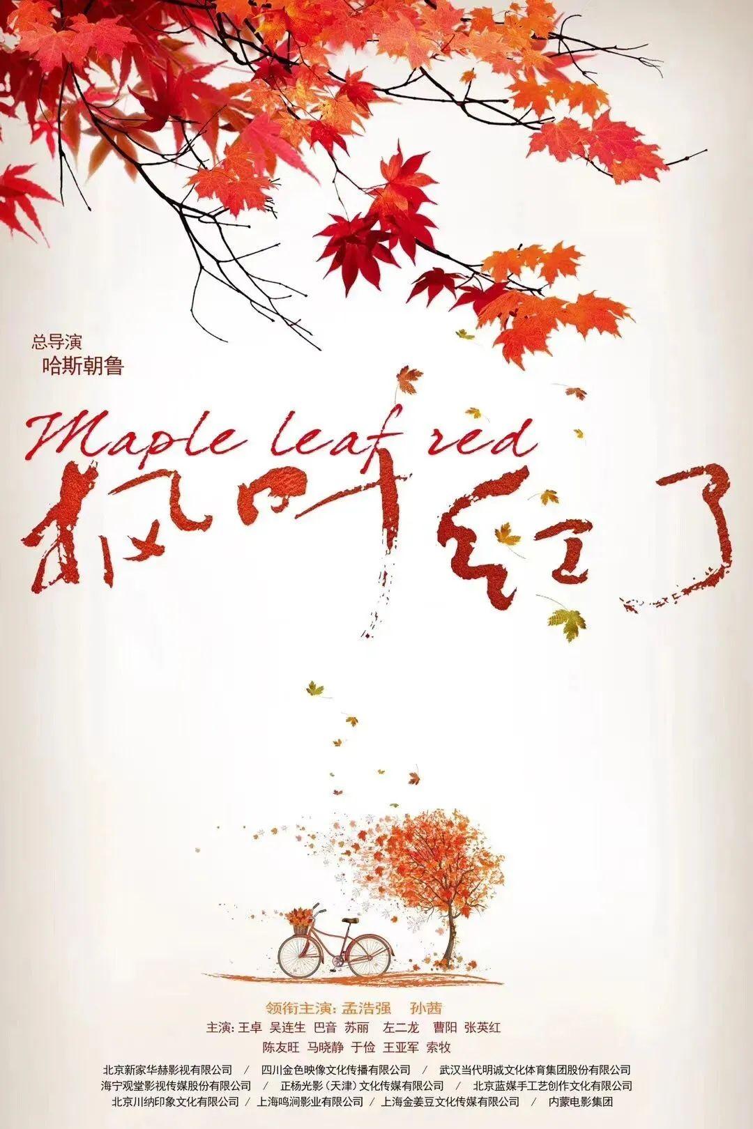 镜像解读