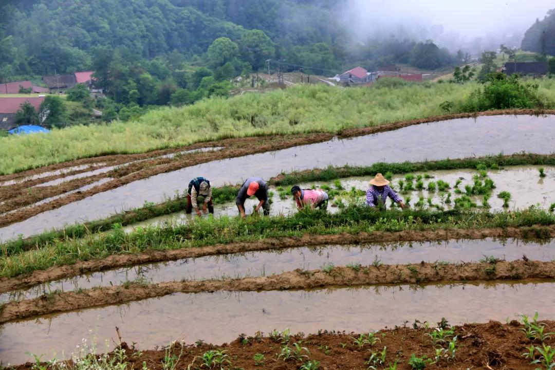 探寻自然美景之旅，最新视频地址带你启程寻找宁静之地