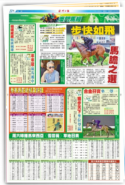 第4343页