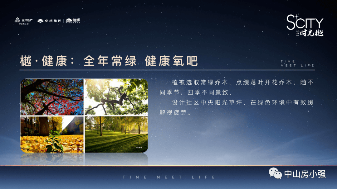 2023年新澳门开奖7777788888，客观解析与实施_LVO1.37.56灵动版