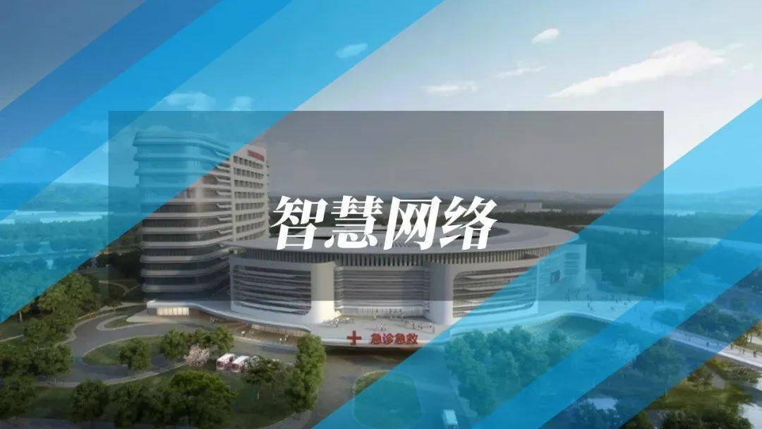 澳门一码一肖一恃一中354期，权威解析与解答策略_BHM5.52.57互助版