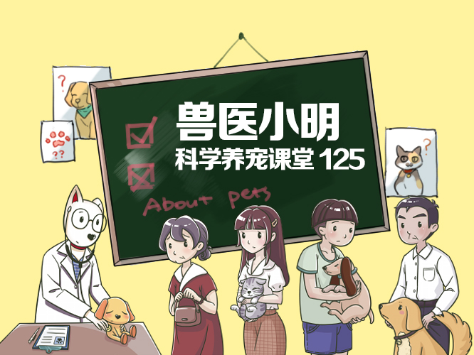 世界疫情最新动态与小明的情感纽带日常