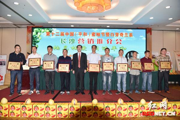 直销最新动态，自然美景探索之旅，寻找内心平和宁静的旅程