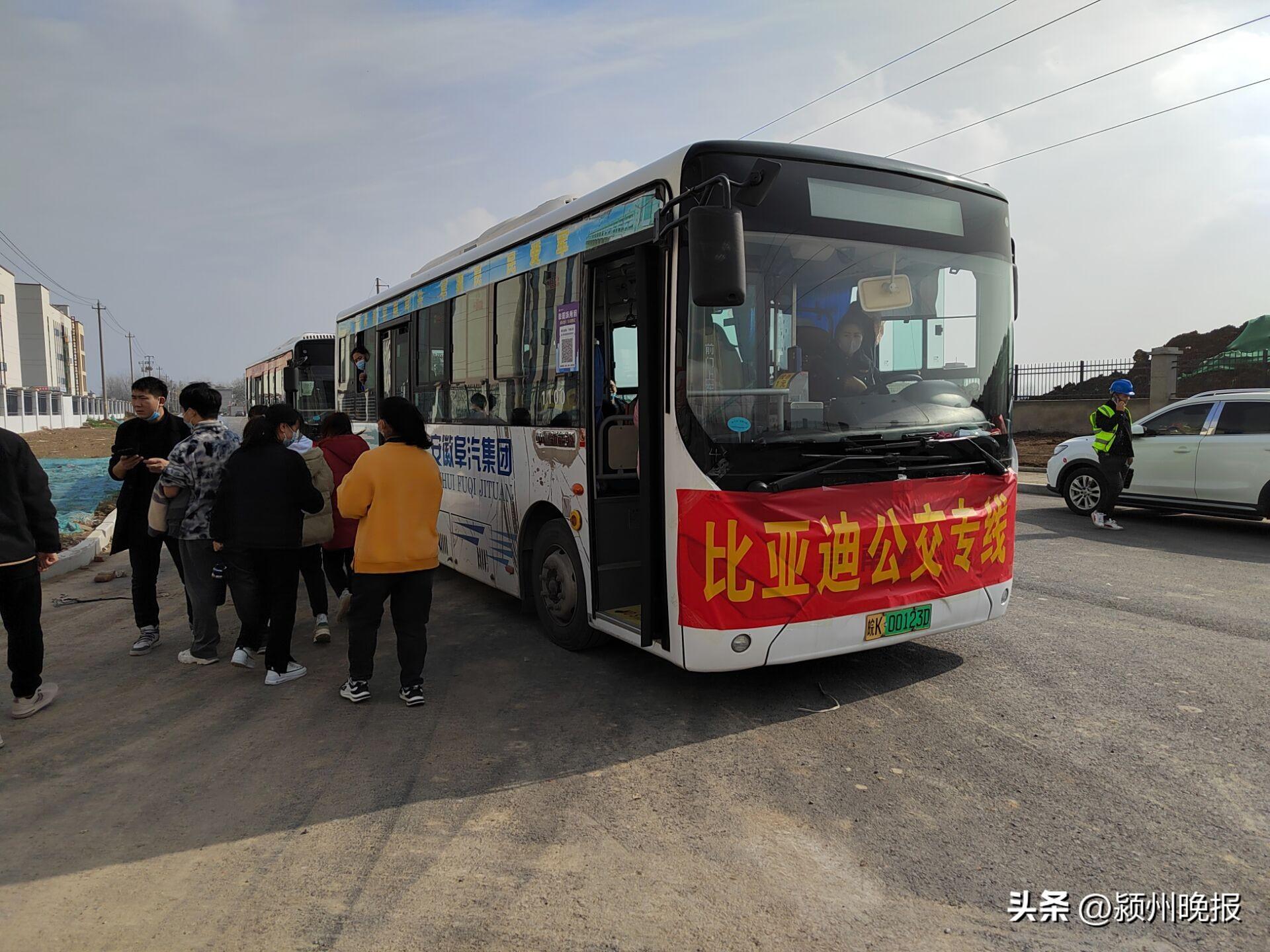 阜南最新招聘，多元视角下的职位招募探讨