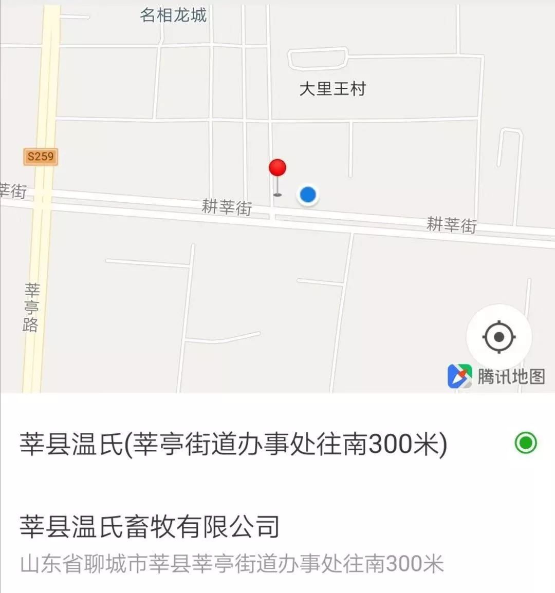 莘县最新招聘信息