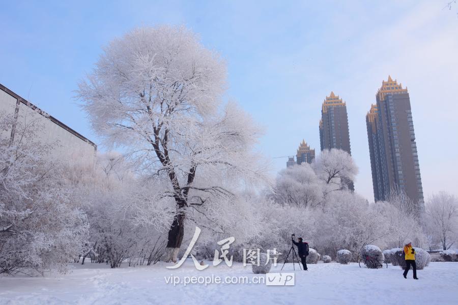 吉林省疫情最新消息下的自然美景之旅，探寻内心宁静与平和