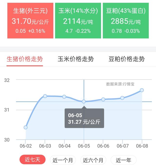 科技引领未来，最新生猪价格表洞悉市场脉络动态