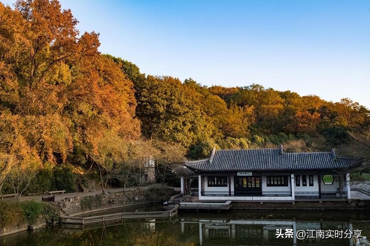 新能源汽车探秘，小巷中的隐藏宝藏