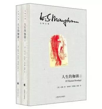 自然之旅的心灵觉醒，最新电视连续剧深度剖析