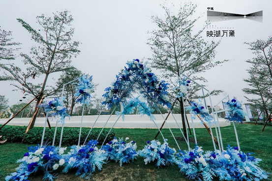 明日花之旅，探寻自然美景，寻觅内心平和与喜悦