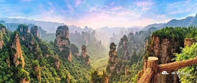 政治最新新闻，自然之旅的心灵觉醒之路