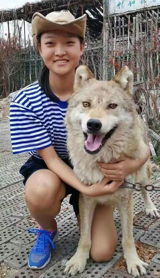 最新电影天狼，震撼登场！