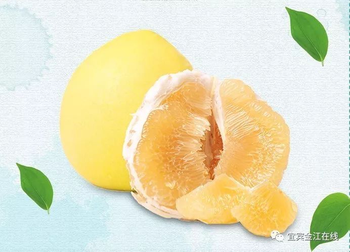 季节变迁与市场波动分析