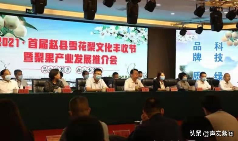 赵县新闻速览，最新发展动态与消息📢