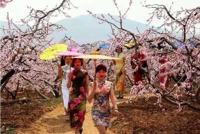 枣庄最新新闻速递与获取指南