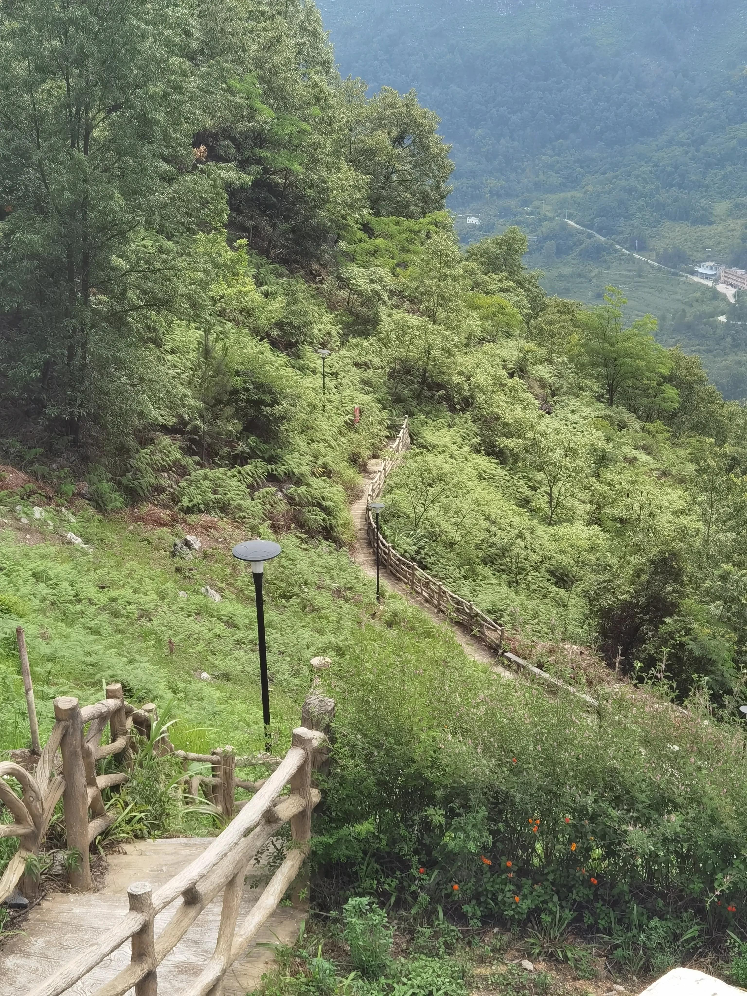 峡谷之巅最新排名,峡谷之巅最新排名解析
