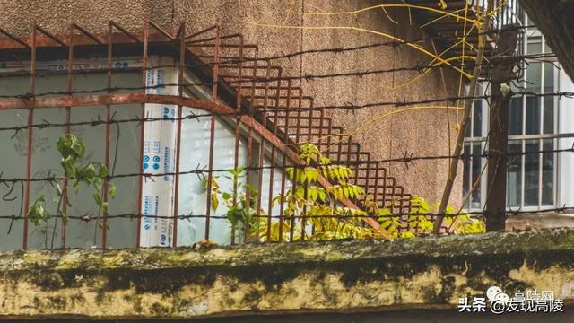 西安高陵最新发展动态揭秘，探寻高陵区的崭新面貌