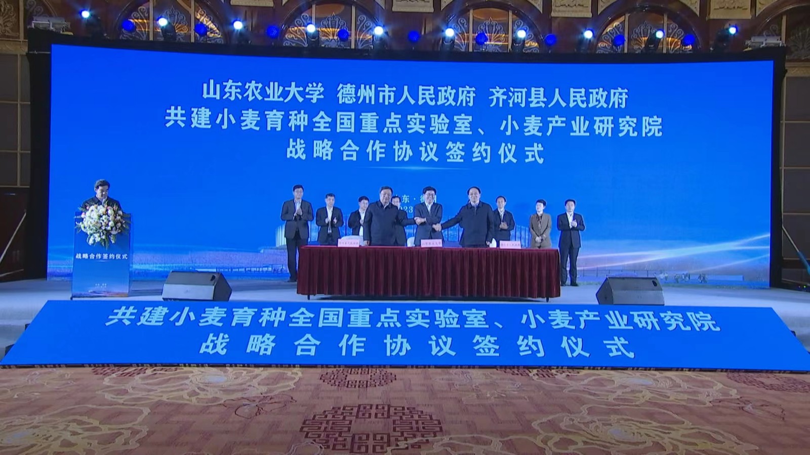 齐河招聘网
