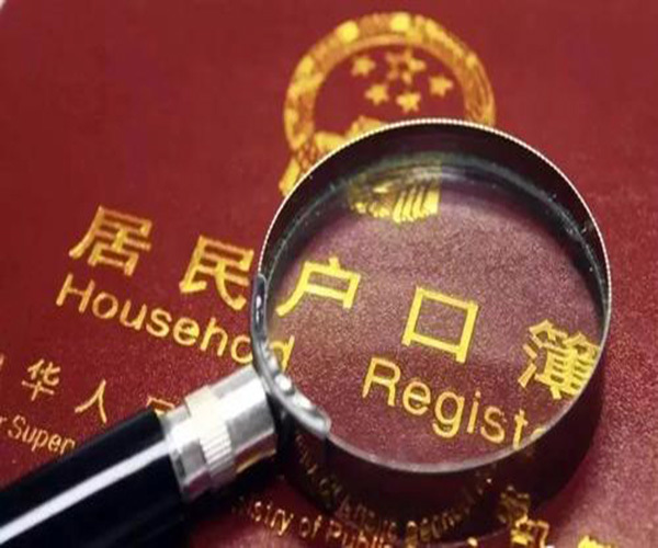 政策解析与观点阐述
