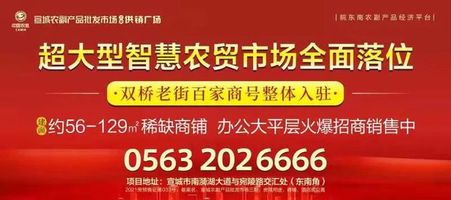 当阳最新招聘热点
