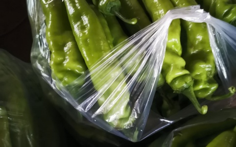尖椒价格行情分析