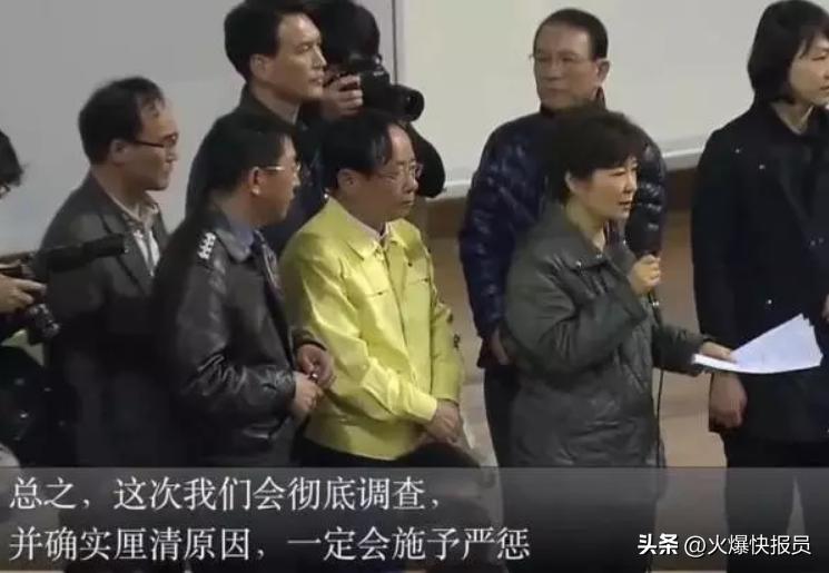 深度解析报道