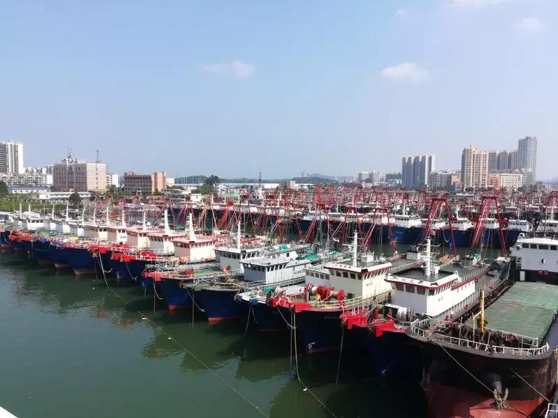 应对准备指南