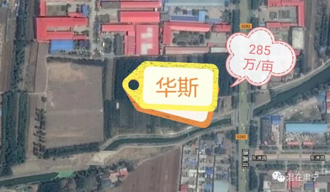 肃宁县