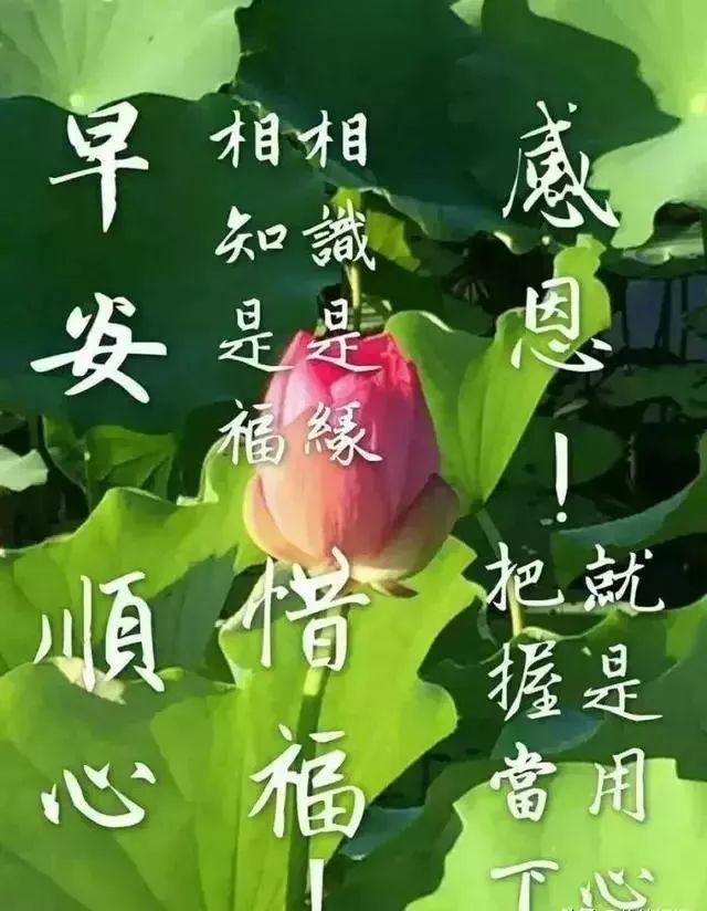 友情与家的温馨旋律（或可简化为“温馨旋律”）