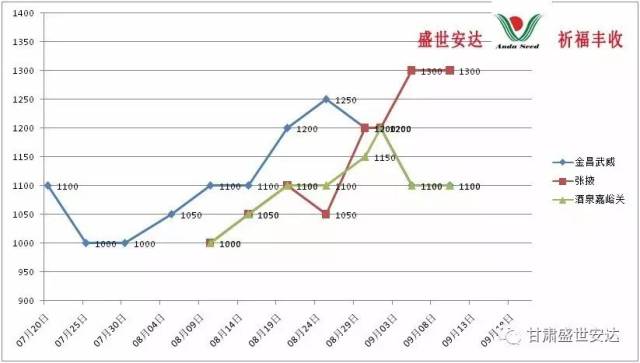 今日洋葱价格行情更新，最新市场价格走势分析