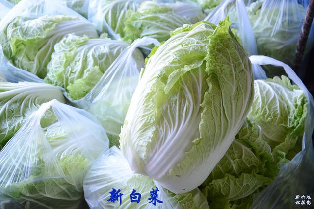 大白菜产地最新价格,大白菜产地最新价格，科技赋能，新鲜直达，开启智能生活新篇章