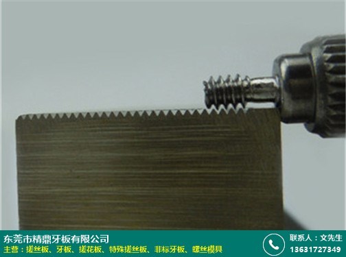 就业前景探讨
