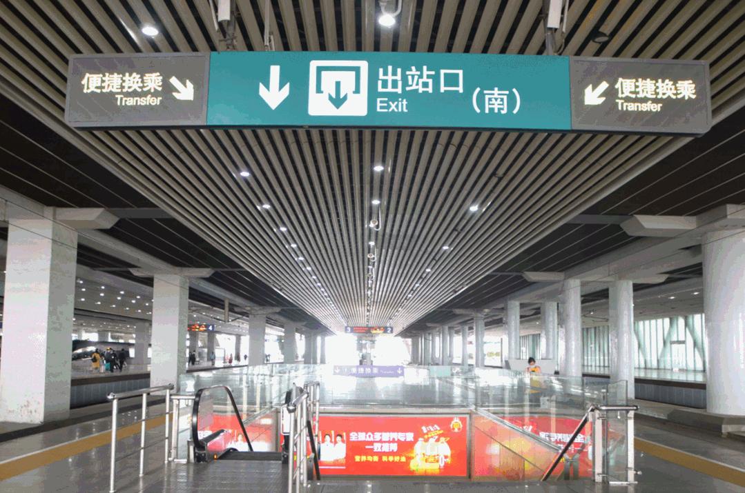 最新详解及指南