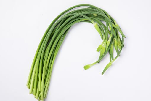 邳州蒜苔价格实时更新，最新行情报告