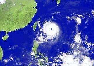 观点分析与立场表达