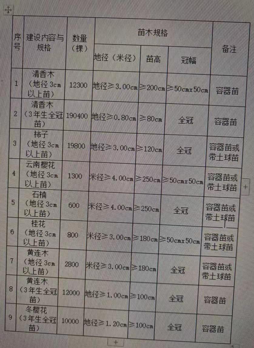 苗木采购指南